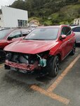 IMG_20240212_120902.jpg
