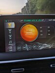 PXL_20240605_042153436.MP.jpg