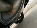 IMG_2650.jpeg